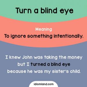 03- Idiom of the day: TURN A BLIND EYE, SPEND...ON, SAVE...FOR/ON