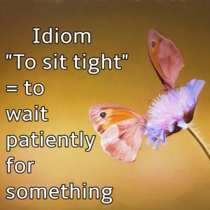 07- Idiom Of The Day: "To sit tight"