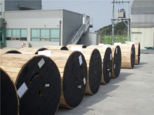 Desen Co. Powers Industry Forward