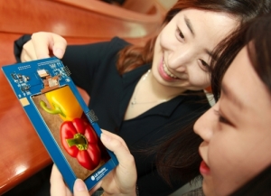 LG Display Receives Certification for Quad HD Quality