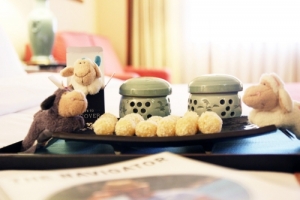 2015 Lunar New Year’s  Package