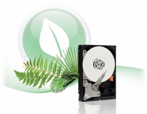 Nothing Made of Gold Lasts Forever, but the Green Can